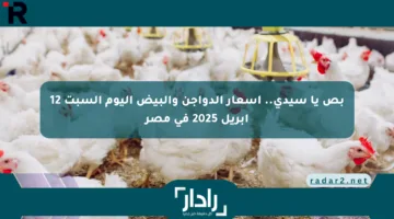 بص يا سيدي.. أسعار الدواجن والبيض اليوم السبت 12 إبريل 2025 في مصر